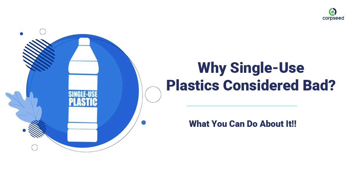 Why Single-Use Plastics Considered Bad - and What You Can Do about It - Corpseed.jpg